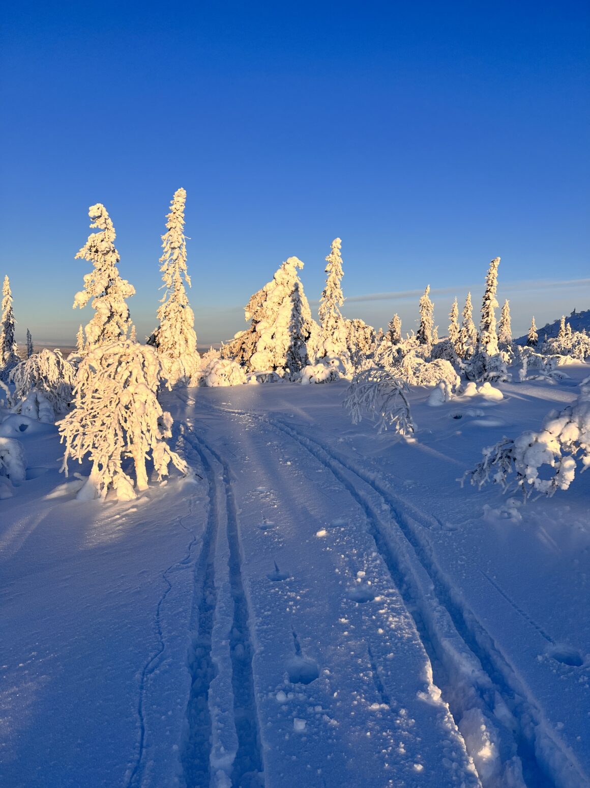 Två skidspår på fjället gjorda av turskidor. 