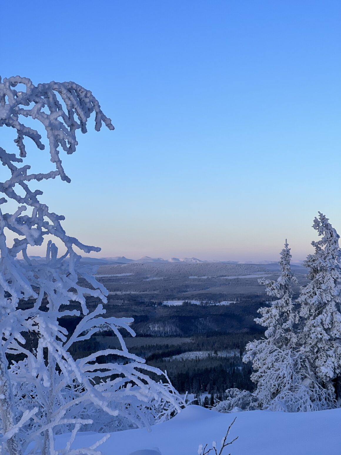 Vy över Vemdalen