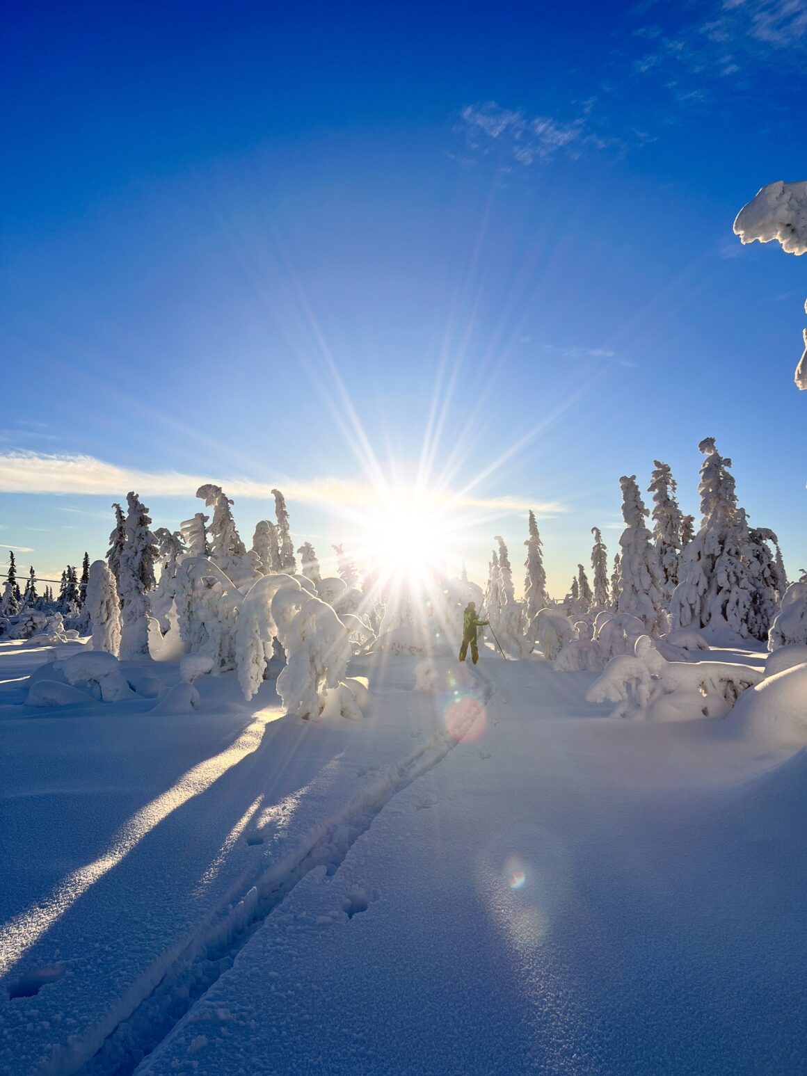 Solsken skiner på fjället när vi åker turskidor