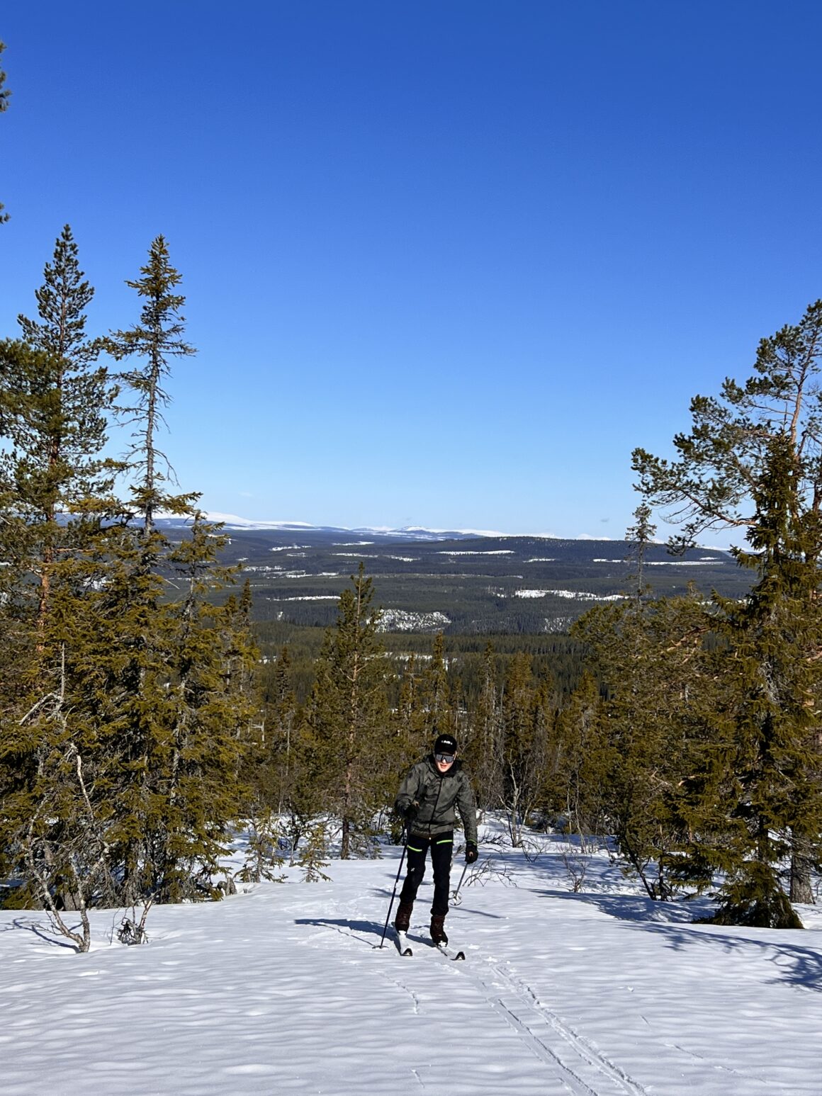 Turskidåkare åker på skaren bland träden.